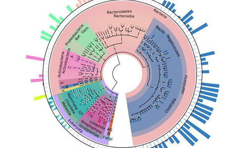 » A Protein language: deciphering the body-microbiome cross-talk